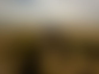 Declining Birth Rates – What Does It Mean For Us?