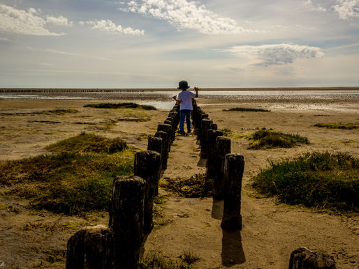 Declining Birth Rates – What Does It Mean For Us?