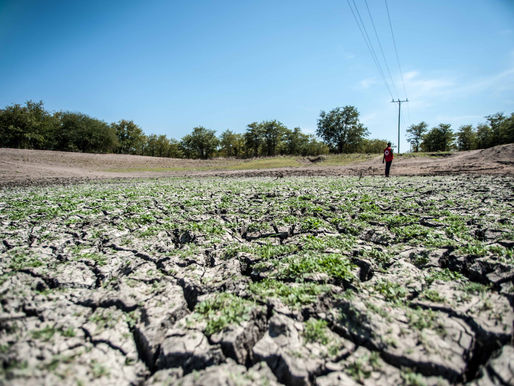 Extreme Heat and Drought Disasters