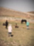 Healing Experience in Nature with Horses