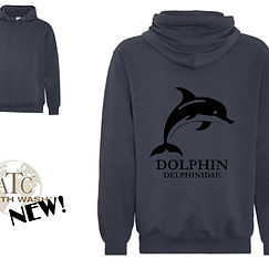 Dolphin.jpeg