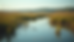 Eye-level view of a freshwater marsh with hydric vegetation and standing water