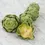 Thumbnail: Green Globe Artichoke