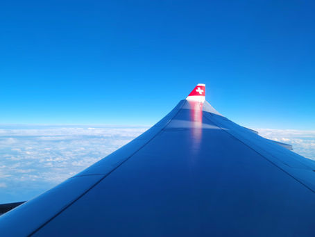 Picture of Swiss Plane Wing