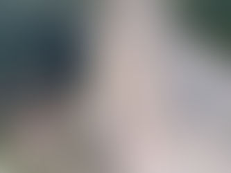 Saut Falaise - Côte sauvage - Lac du Bourget