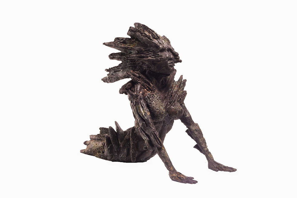 "Fan Coral Woman"