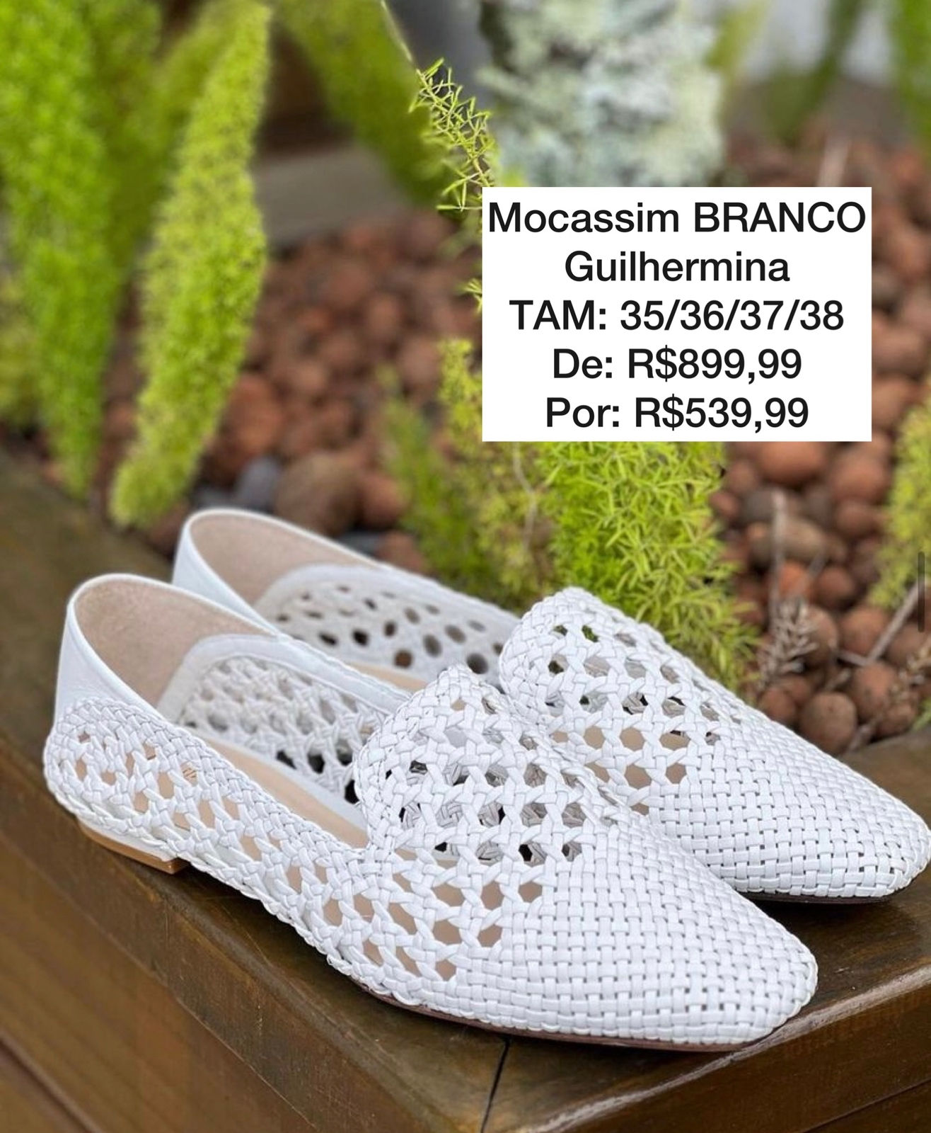 venda paula casagrande