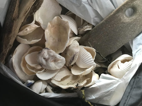 ビーチクリーンをしながら手作り砂時計の材料集め!