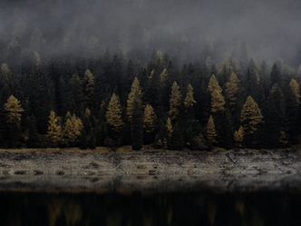 A radio tower and flock of birds in front of a sky during dusk