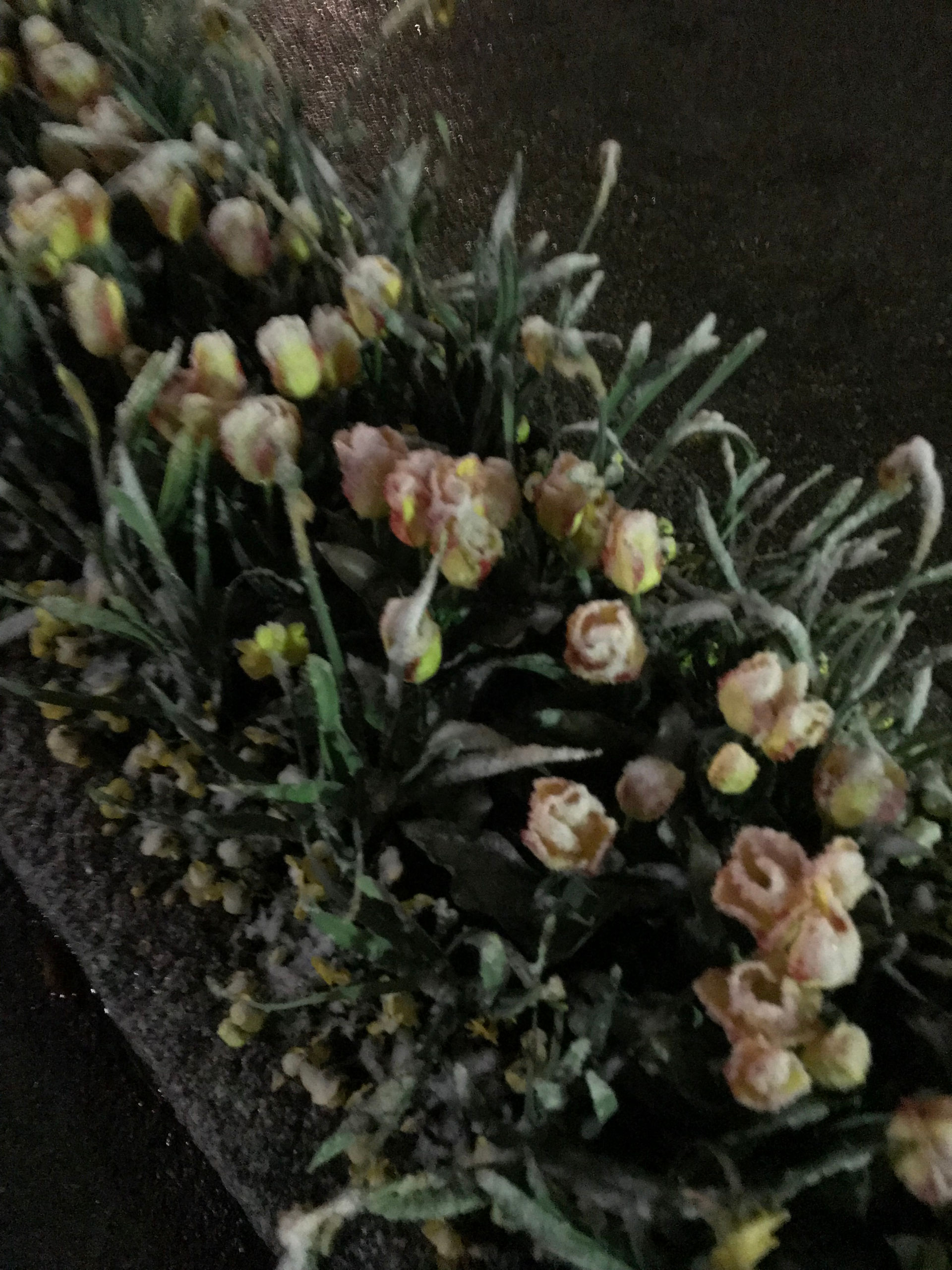 flowers in Tegernsee