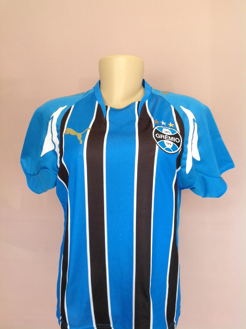 GRÊMIO FEMININA - 2007 -HOME