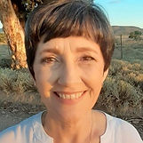 The Go-To Guy Anton Goosen.png