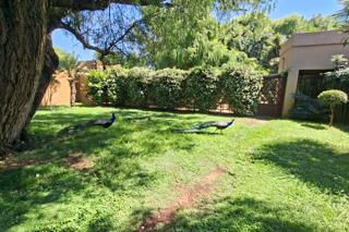 Theo Eiendomme 28.jpg