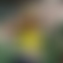 Gestão em Atendimento à NR-1: segurança, conformidade e responsabilidade