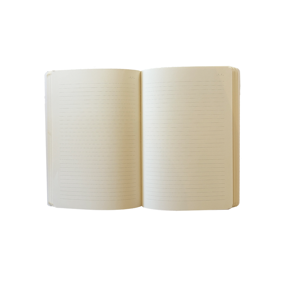 Çizgili Not Defteri