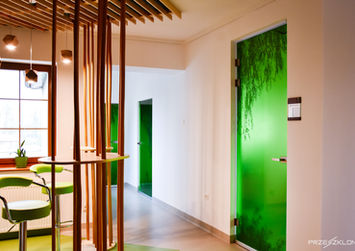 drzwi szklane z grafiką