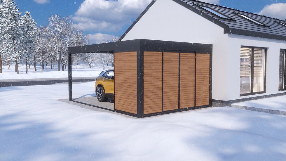 Tarasola carport