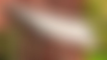 Awnings Help Keep Your Home Cool in the Summer