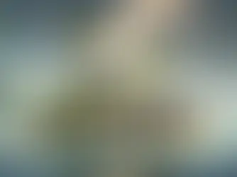 How to Start an Online Business in Saint Kitts and Nevis: A Comprehensive Guide