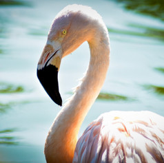 A5C43330-2D22-428E-9134-E8D0473C495D.jpeg