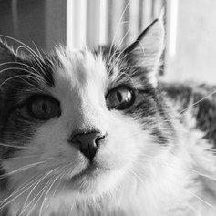 A69ACAD6-9BFD-44F8-A069-0784FD5D7AAB.jpeg