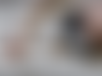 Os melhores fitoterápicos ao manejo do sono