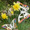 Thumbnail: Flame painted Stainless steel Butterflies set of 3 with rods