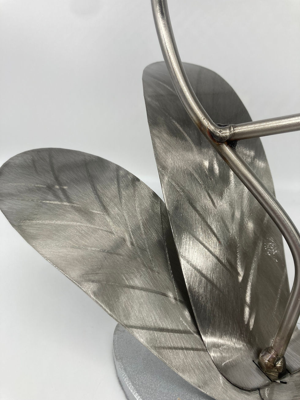 Thumbnail: orchid leaves