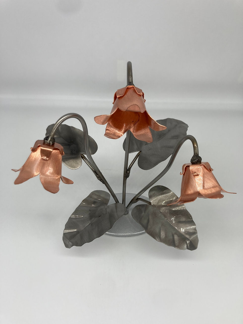 Thumbnail: bell flower indoor