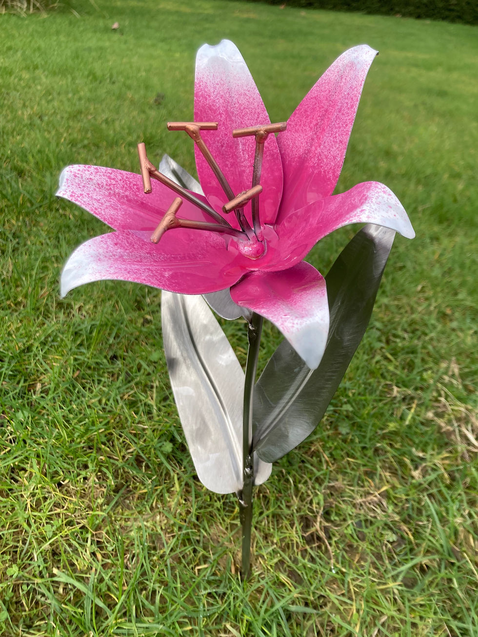 Thumbnail: pink lillies