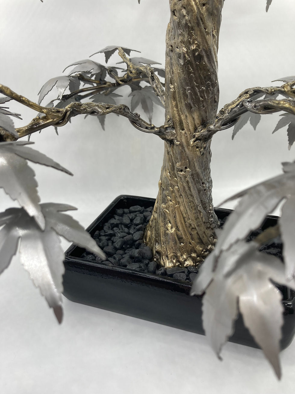 Thumbnail: Maple Bonsai Medium