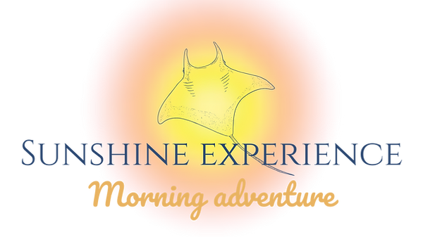 Sunshine experience (2).png