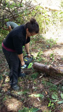 Alojamiento ecológico en Boquete Panamá