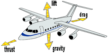 FlightForces.gif