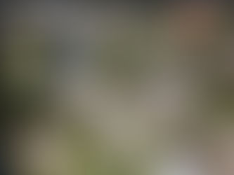 Más de 64 mil personas conocieron la historia del conflicto armado en el Museo Casa de la Memoria