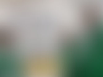 "Juntanza" del sector solidario y gobierno: reunidos en Ibagué