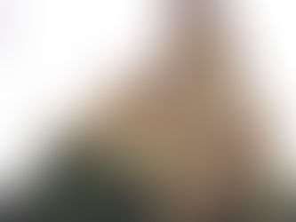 Denuncia pública sobre mal servicio de internet en el centro