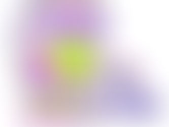 Ley contra el Ruido: Los Principios Rectores y comentario a la Ley 2450 de 2025 (marzo 4)