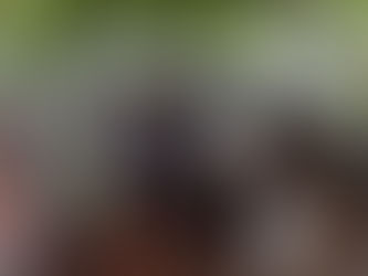 Taller de escritura "Cambios de Hábitos en Tiempos de Pandemia"