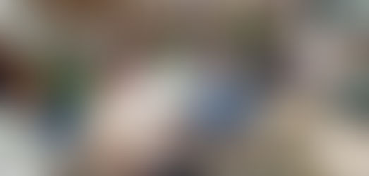 Rid 10: en sus 17 años de trabajo por la comuna