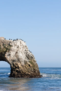 Natural Bridges State Park