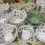 Thumbnail: Small White Bowl