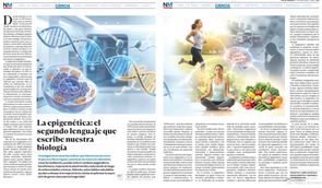La epigenética: el segundo lenguaje que escribe nuestra biología