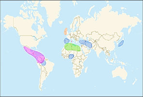 Genes de mestizos, indígenas y afroecuatorianos.
Entrevistas sobre la gen