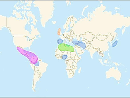 Genes de mestizos, indígenas y afroecuatorianos.
Entrevistas sobre la gen