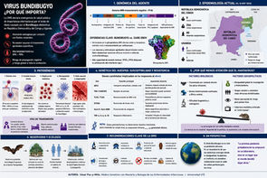 Virus Bundibugyo: el ébola olvidado por la geopolítica científica
