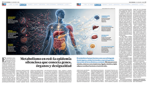 Metabolismo en red: la epidemia silenciosa que conecta genes, órganos y desigualdad