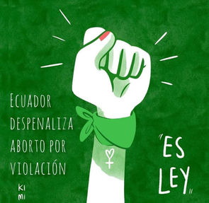 Amicus curiae (Amigo del Tribunal) - Corte Constitucional del Ecuador. Sobre Aborto por violación.