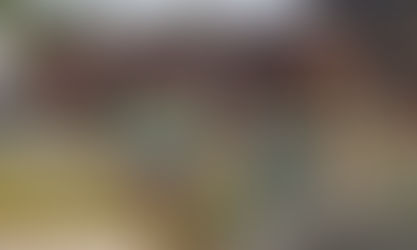 The Girls in the Kitchen