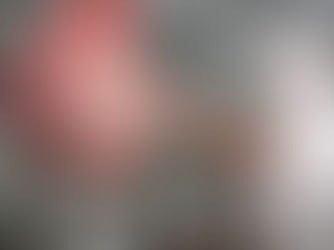 Paraguay logra la apertura del mercado de Filipinas para carnes bovina, porcina y aviar